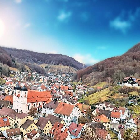 Albhotel Malakoff - House Of Nature Wiesensteig Экстерьер фото